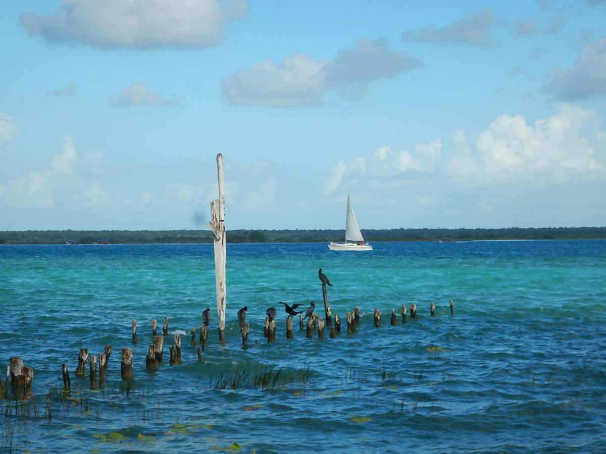 Villa Marilu B&B Bacalar Exteriör bild